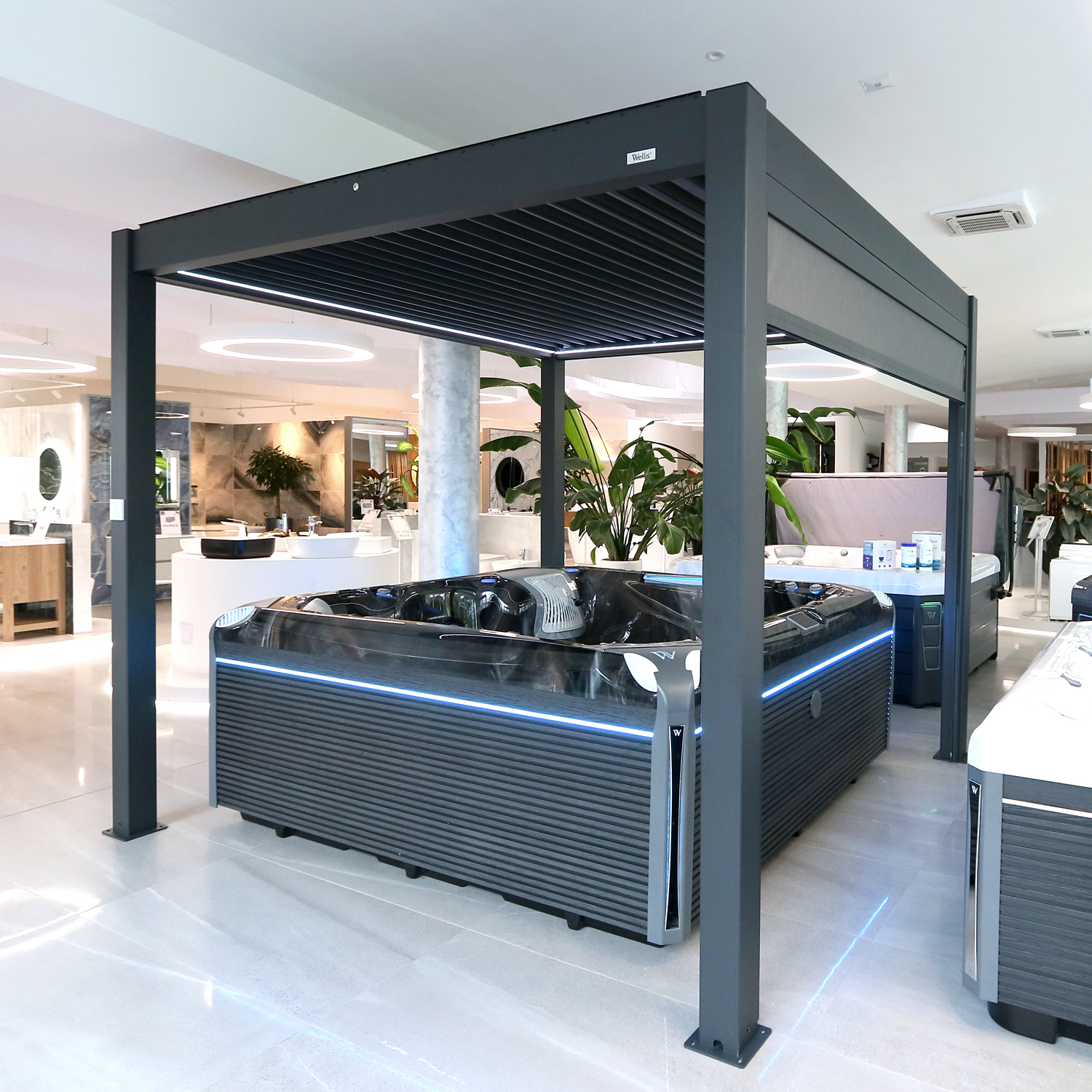 IMG_2547a-sq IMG_2547a-sq