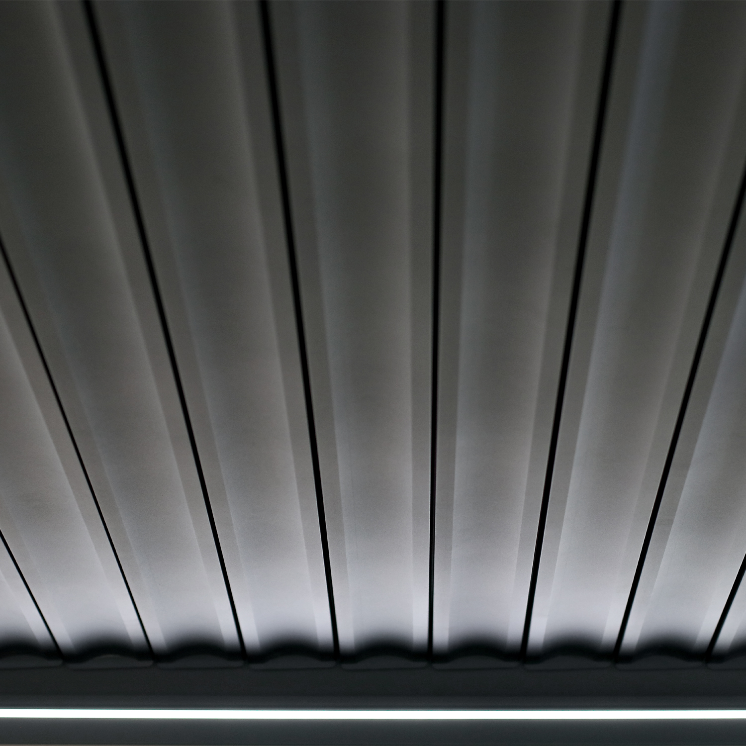 IMG_2587a-sq IMG_2587a-sq