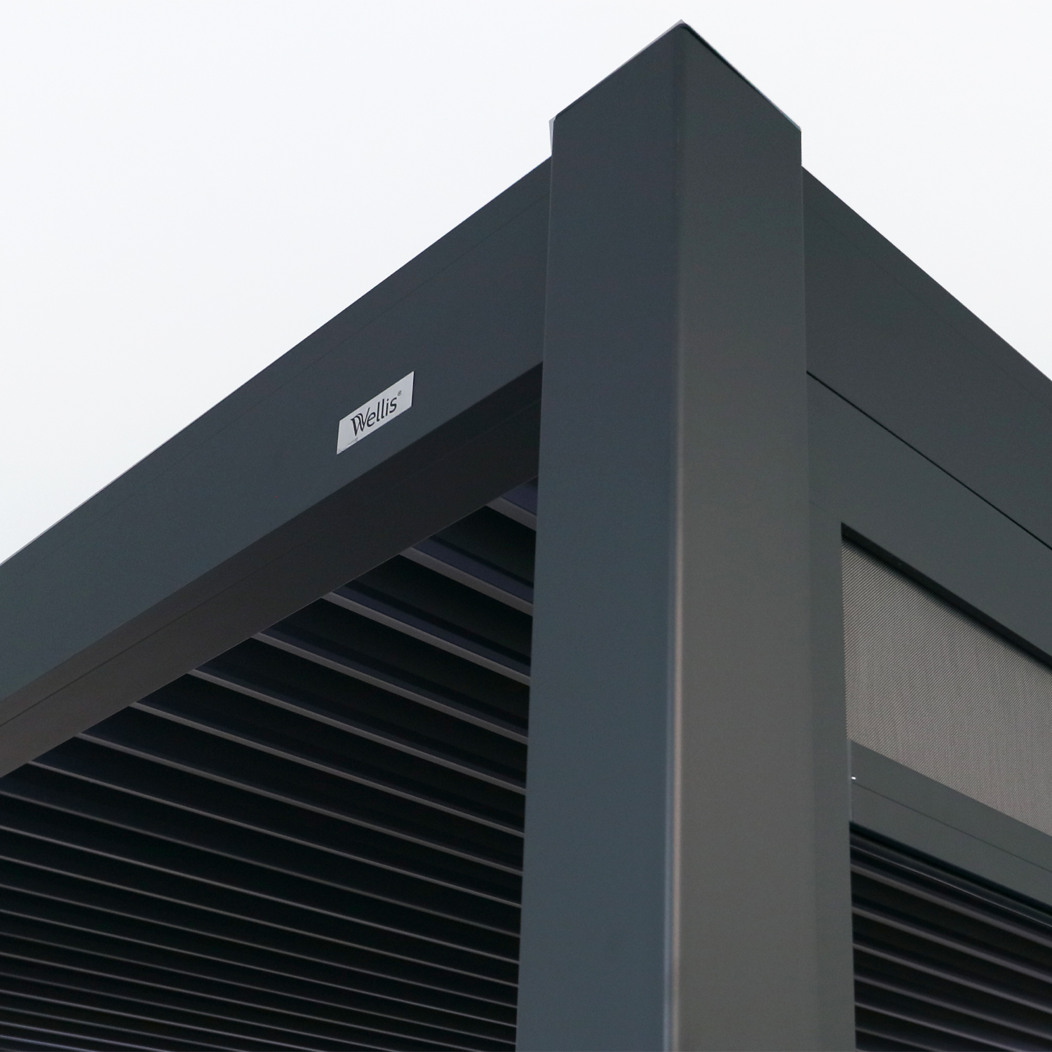 IMG_2591a-sq IMG_2591a-sq